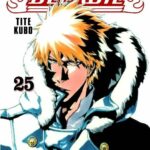 BLEACH MAXIMUM 25
