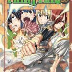 FAIRY TAIL 29