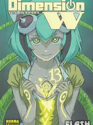 DIMENSION W 13