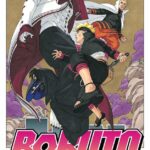 Boruto nº 13