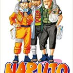 Naruto nº 21/72