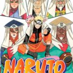 Naruto nº 49/72