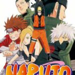 Naruto nº 37/72
