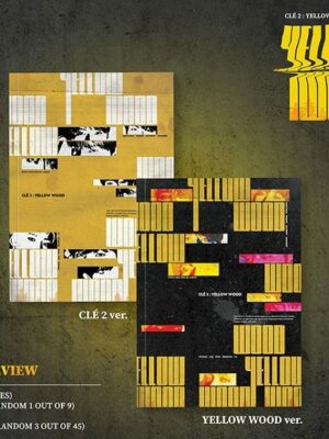 STRAY KIDS - CLE 2 : YELLOW WOOD