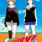 Tutor Hitman Reborn nº 15/42