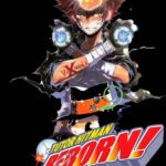 Tutor Hitman Reborn nº 20/42