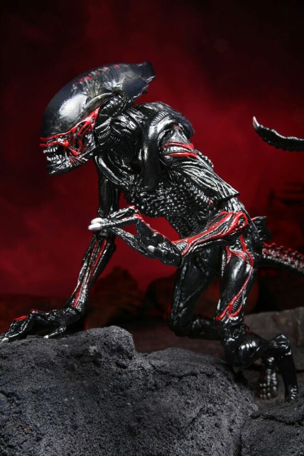 Aliens Figura Night Cougar Alien (Kenner Tribute) 23 cm - Imagen 7