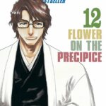 Bleach Bestseller nº12