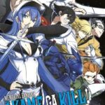 AKAME MEMORIAL FANBOOK