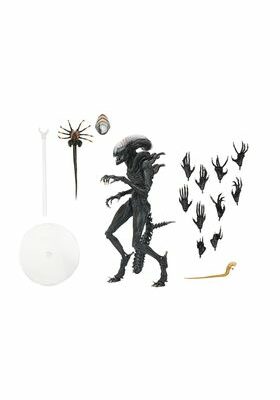 Figura Ultimate Scorched Xnomorph Alien Romulus 23cm